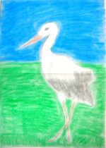 Kadlicová Hanka.jpg